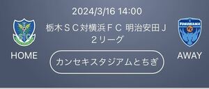 栃木SCー横浜FC バック自由席2枚セット