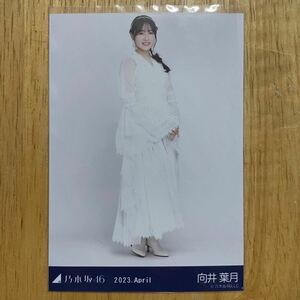 乃木坂46 向井葉月 スペシャル衣装36 生写真 ヒキ 1枚 検) web 限定 月間 2023.April