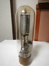 WE 242C 直熱型電力増幅用三極管 1本中古良品 箱なし _画像4