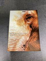 DVD☆10枚組☆BBC ワイルドライフ・エクスクルーシヴ DVD-BOX☆BBC WILDLIFE EXCLUSIVES☆REDV-00482_画像3