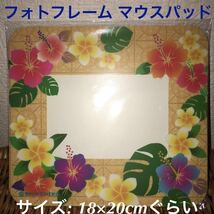 非売品 JAL カード 小さいクリアファイル 飛行機ミニクリアファイル A5 ボールペン2本 エチケット袋20枚 沖縄お土産マウスパッド_画像5