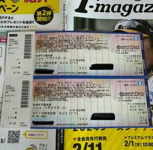 5月25日(土)阪神タイガースvs読売ジャイアンツ ライトスタンドタイガース応援席です。47段200番台。2枚。