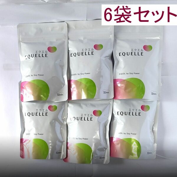 1004大塚製薬 EQUELLE エクエル パウチ 30日分(120錠)×6袋セット(720錠)