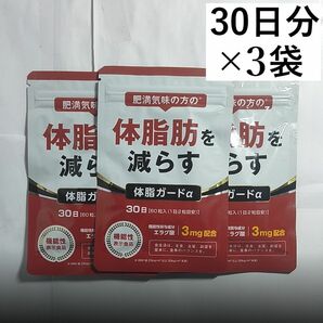 体脂ガードα 30日 3袋(90日分) 体脂肪を減らす ダイエットサプリ エラグ酸 カルニチン BCAA 機能性表示食品 DUEN