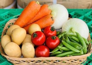 【農家直送】茨城県産野菜詰め合わせ　野菜セット　野菜ボックス　100サイズ