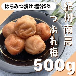 58【★500g★ 紀州南高梅 はちみつ漬け梅 塩分5％】梅干し 梅 漬物 梅干