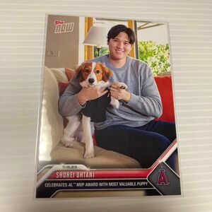 Topps Now 大谷翔平 MVP 犬 限定　オーダー　カード　OS-19 エンゼルス　ドジャース　トップス