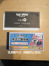 【送料無料】ヴィレッジヴァンガード 株主優待 12,000円分(1,000円×12枚) ヴィレッジヴァンガード_画像1