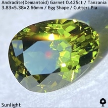 タンザニア産アンドラダイト(デマントイド)ガーネット0.425ct★程よい濃さの美グリーンから煌めき止まらないキュートなエッグシェイプ_画像7