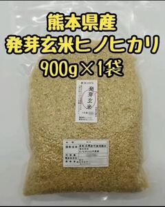 熊本県産 令和5年新米100% 発芽玄米 900g ヒノヒカリ　