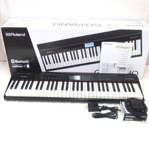 【動作確認品/美品】Roland/ローランド GO:PIANO/GO-61P 61鍵盤 21年製 電子キーボード 電子ピアノ DP-2 付属 元箱付/170サイズ