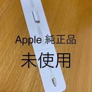 未使用★純正★Apple Pencil アップルペンシル★lightning 充電変換アダプター、予備の先端（ペン先）替えのペン先