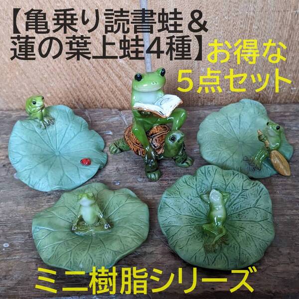 【亀乗り読書蛙&蓮の葉上蛙4種】5点セット ミニ樹脂シリーズ カメ カエル 置物 オブジェ 縁起物 カエル 亀 蓮の葉 ロータス