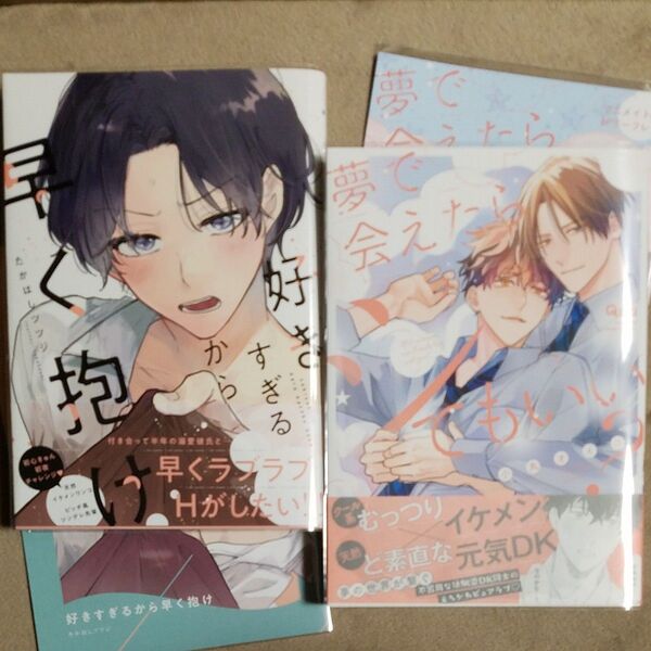 3月新刊【好きすぎるから早く抱け】たかはしツツジ【夢で会えたらシてもいい?】小丸オイコ 各アニメイト限定リーフレット付