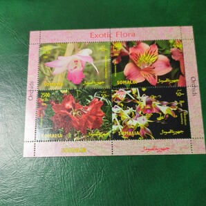 ソマリア切手 「ランの花」未使用 2004年 小型シート1 種揃 ヒンジなしの画像1