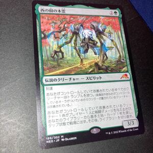 西の樹の木霊　ギャザリング mtg 神河　輝ける世界