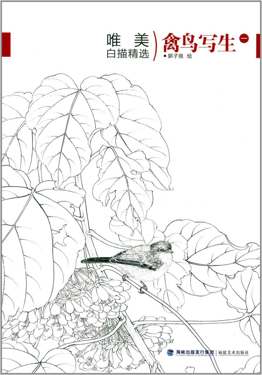 9787539329048 Bosquejo de pájaro (1) Hermosa selección de dibujos blancos bosquejo de pintura china libro para colorear para adultos, arte, entretenimiento, cuadro, Libro de técnicas
