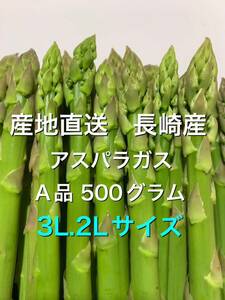 産直長崎産アスパラガス3L.2Lサイズ 500グラム