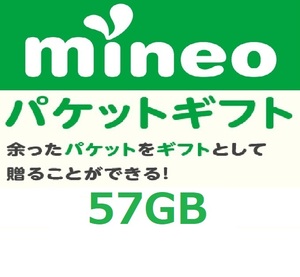 パケットギフト 9,500MB×6 (約57GB) 即決 mineo マイネオ 匿名 容量希望対応