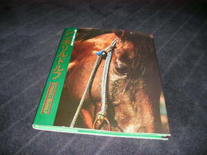 シンボリルドルフ　勝つことに憑かれた名馬　永久保存版写真集　今井寿恵　1985年初版　角川書店　競馬