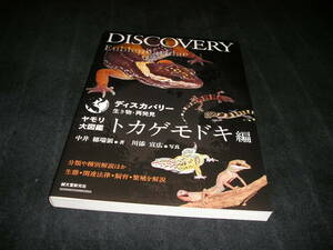  lizard large illustrated reference book lizard mo when compilation Discovery living thing * repeated discovery middle .... river .. wide classification raw . breeding relation law breeding 