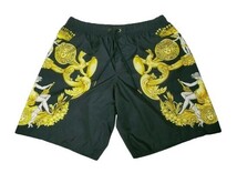 美品☆VERSACE ヴェルサーチ メデューサ スイムパンツ_画像1