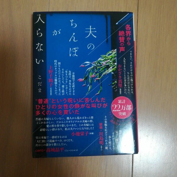 夫のちんぽが入らない　こだま　文庫　中古