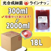 ガチ濃い！培養酵母10錠付！PSB(光合成細菌) 400ml入り_画像6