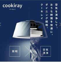  富士工業 LEDペンダントライト cookiray（クーキレイ） ブラック C-BE511-BK _画像1