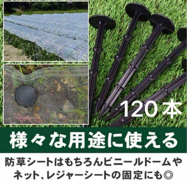 防草シート 固定ピン 抜けにくい返し付き 錆びない 雑草対策 農業 人工芝 ペグ 120本セット ピン 防草 ガーデニング 庭