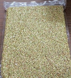 令和5年度　新そば　信州産　そばの実 (蕎麦の剥き身）鬼殻を外した状態　　900g　ヤマトネコポス送料込　1100円(6)