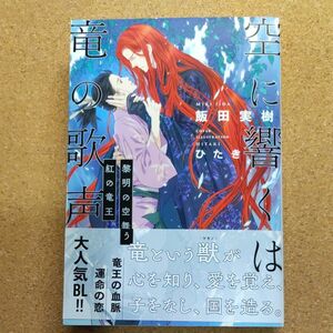 空に響くは竜の歌声〔４〕 黎明の空舞う紅の竜王　飯田実樹