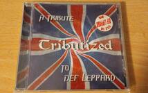 【デフ・レパードのトリビュート】Various Tributized: A Tribute To Def Leppard廃盤。_画像1