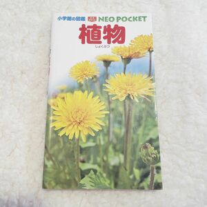 植物 （小学館の図鑑ＮＥＯ　ＰＯＣＫＥＴ　２） 和田浩志／監修・執筆　岡田比呂実／指導・執筆　吹春俊光／指導・執筆