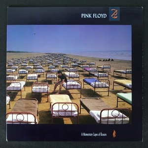 Pink Floyd A Momentary Lapse Of Reason US盤 OC40599 ロック プログレ