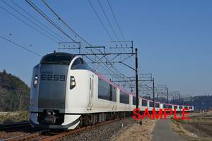 E259系 特急成田エクスプレス 6000×4000PX 13.5MB 精度：良好 2024.02.14 A9003