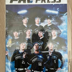 日本ハムファイターズ　ファンクラブ　会報誌　FAV PRESS