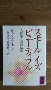 （BT-11）　スモール イズ ビューティフル　人間中心の経済学 (講談社学術文庫)　　著者＝E・F・シューマッハー