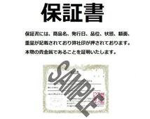 [保証書付き] (新品) アメリカ「キャスト バー」純銀 10オンス バー インゴット_画像5