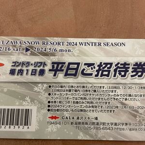 GALA湯沢スキー場 平日リフト無料券 (3月4日現地手渡し可能)