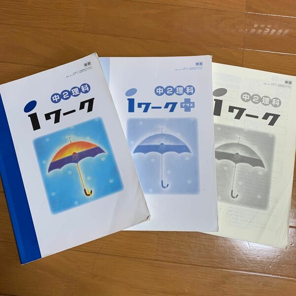 iワーク 塾教材　解答集　中学2年生　理科　iワークプラス