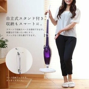 訳アリ品特価☆◆2in1 高温スチームクリーナーモップ除菌効果 洗剤不要 ###訳小スチームモップSM☆###の画像3