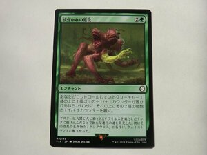 MTG 美品 【枝分かれの進化】 （レア） Fallout PIP 日 9枚迄