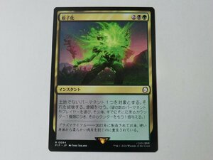 MTG 美品 【原子化】 （レア） Fallout PIP 日 9枚迄