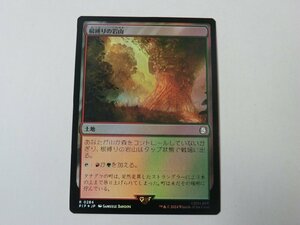 MTG 美品 【根縛りの岩山（FOIL）】 （レア） Fallout PIP 日 2枚迄