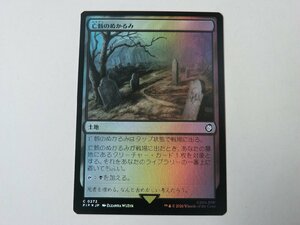 MTG 美品 【亡骸のぬかるみ（FOIL）】 （コモン） Fallout PIP 日 2枚迄