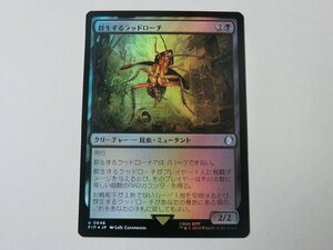 MTG 美品 【群生するラッドローチ（FOIL）】 （アンコモン） Fallout PIP 日 1枚迄