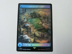 MTG 美品 【フルアートの島（320）（FOIL）】 （コモン） Fallout PIP 日 6枚迄