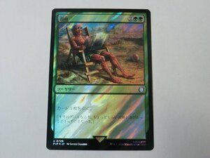 MTG 美品 【調和（サージFOIL）】 （アンコモン） Fallout PIP 日 1枚迄