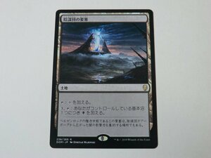 MTG 美品 【陰謀団の要塞】 （レア） DOM 日 9枚迄